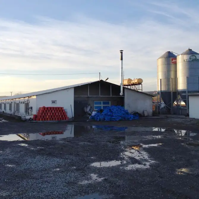 Backup Power System for a Chicken Farm