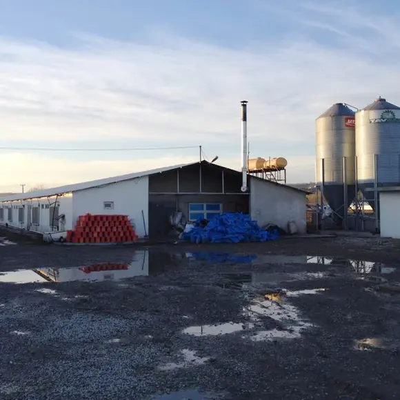 Backup Power System for a Chicken Farm