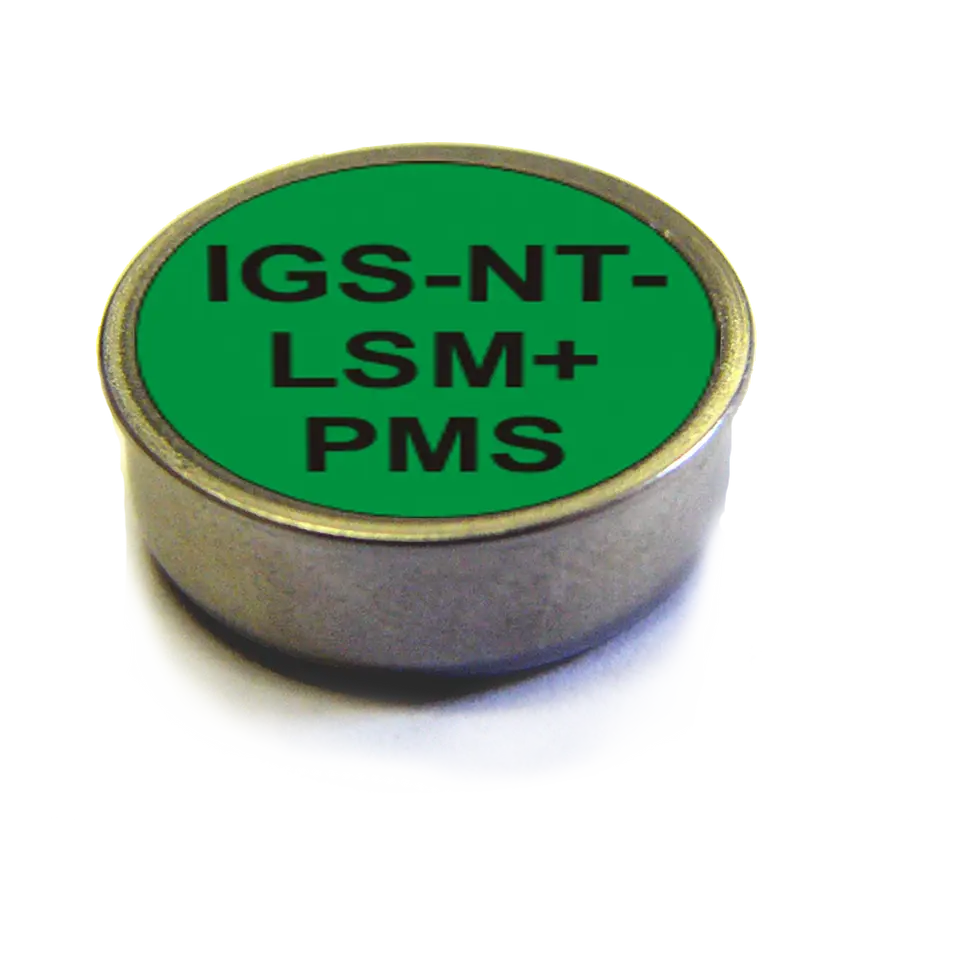 IGS-NT-LSM-PMS
